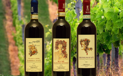 Vino particolare di Piemonte: Ruchè di Castagnole Monferrato